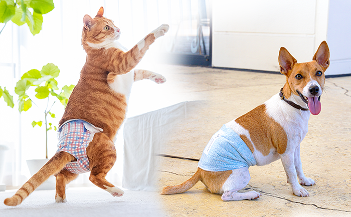 ユニ・チャーム