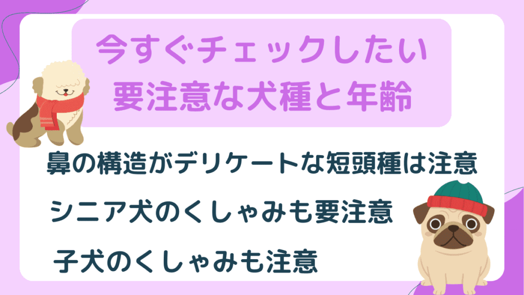 犬のくしゃみが止まらない原因とは？風邪や逆くしゃみの見分け方と受診目安を解説