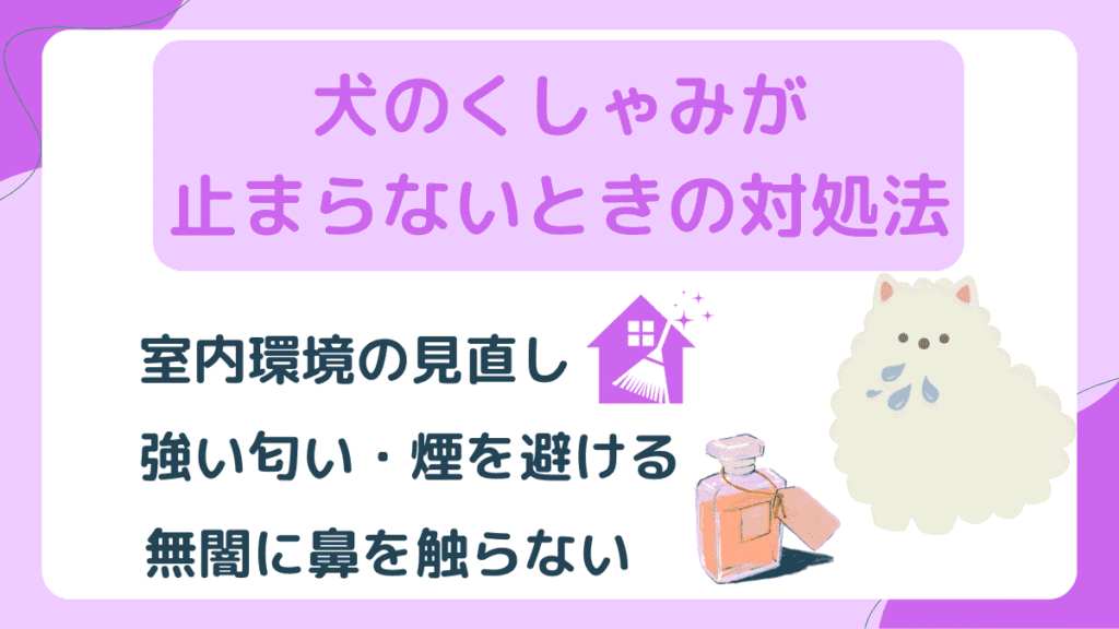 犬のくしゃみが止まらない原因とは？風邪や逆くしゃみの見分け方と受診目安を解説