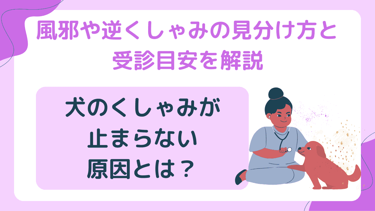 犬のくしゃみが止まらない原因とは？風邪や逆くしゃみの見分け方と受診目安を解説
