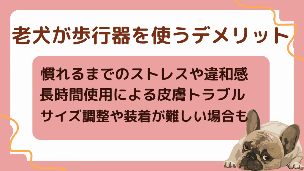 老犬向けの歩行器の選び方とは｜介護・リハビリでの活用や自作方法について解説