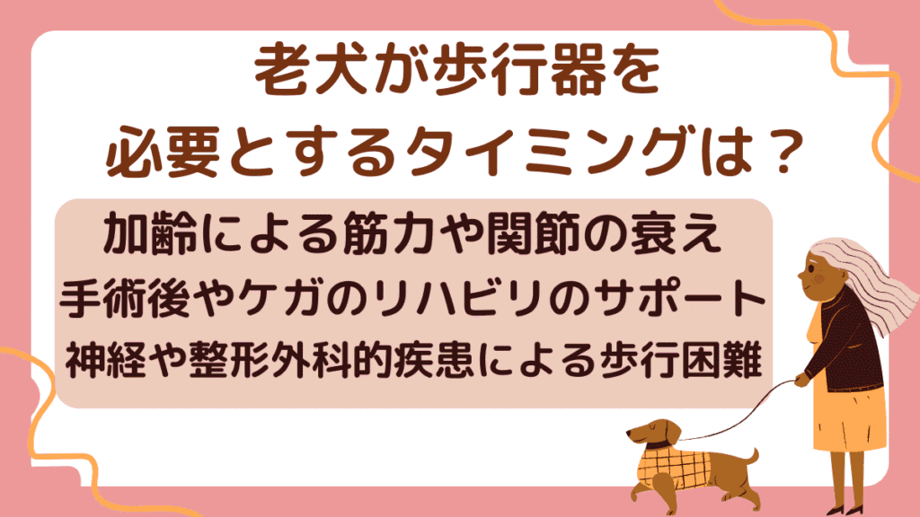 老犬向けの歩行器の選び方とは｜介護・リハビリでの活用や自作方法について解説