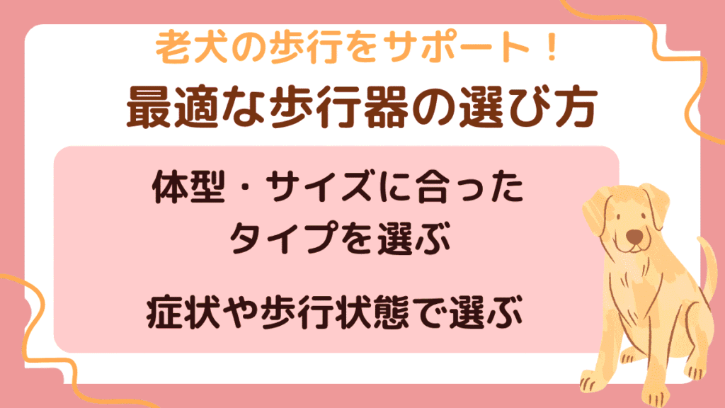 老犬向けの歩行器の選び方とは｜介護・リハビリでの活用や自作方法について解説