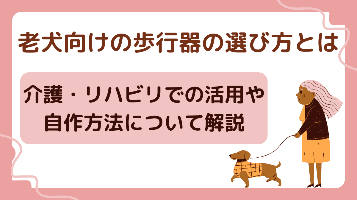 老犬向けの歩行器の選び方とは｜介護・リハビリでの活用や自作方法について解説