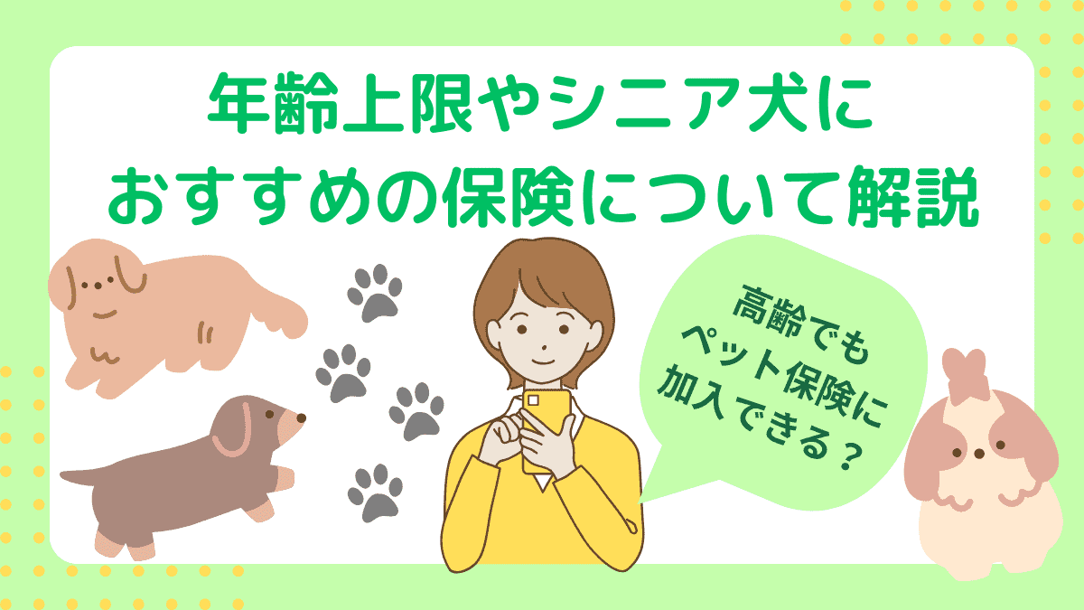 高齢でもペット保険に加入できる？年齢上限やシニア犬におすすめの保険について解説