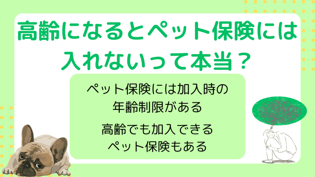高齢でもペット保険に加入できる？年齢上限やシニア犬におすすめの保険について解説
