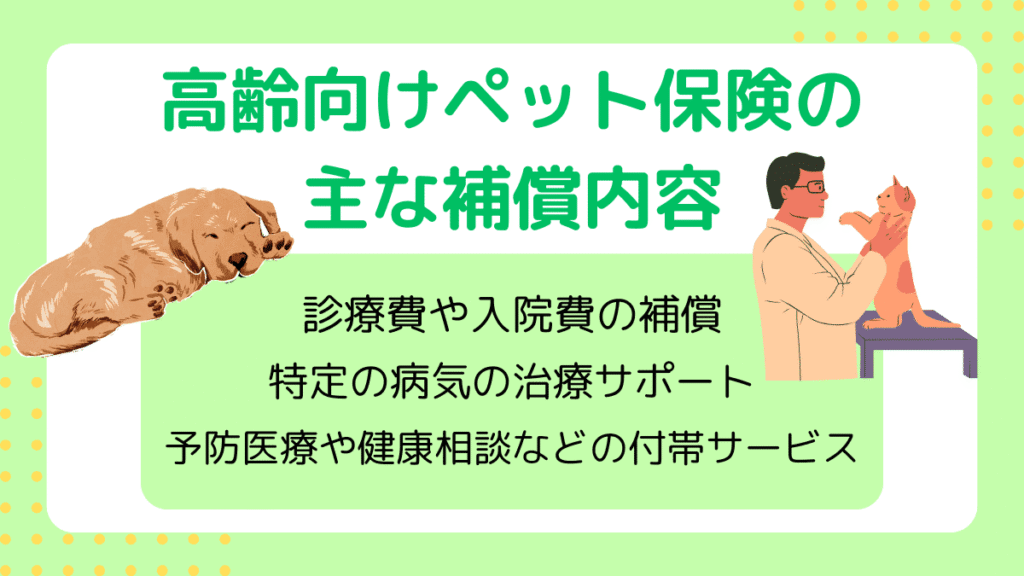 高齢でもペット保険に加入できる？年齢上限やシニア犬におすすめの保険について解説