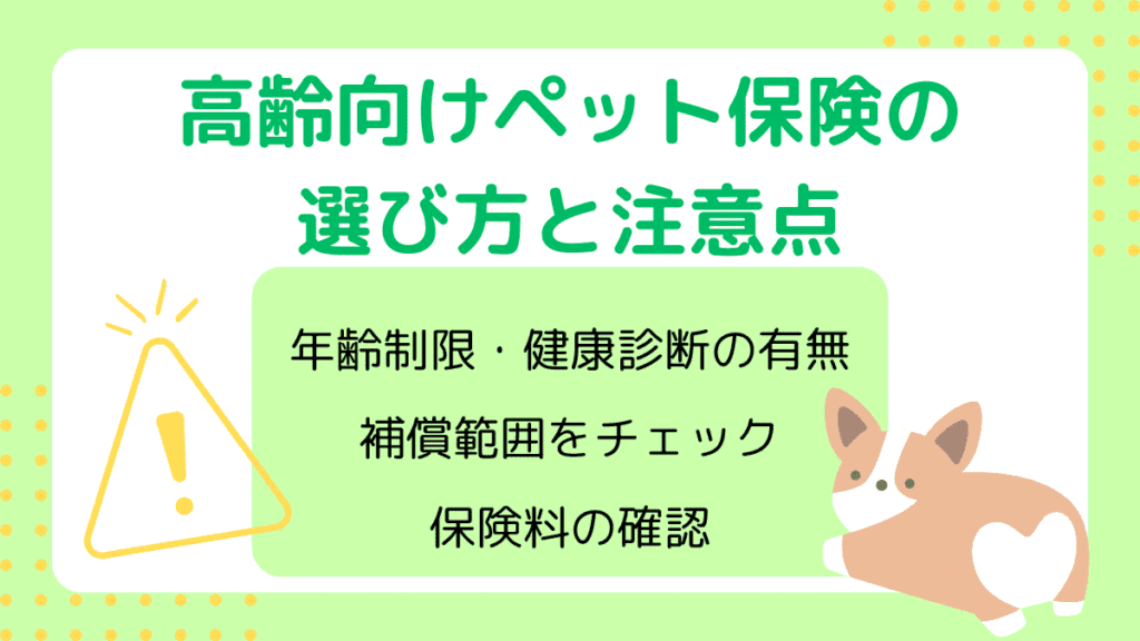 高齢でもペット保険に加入できる？年齢上限やシニア犬におすすめの保険について解説